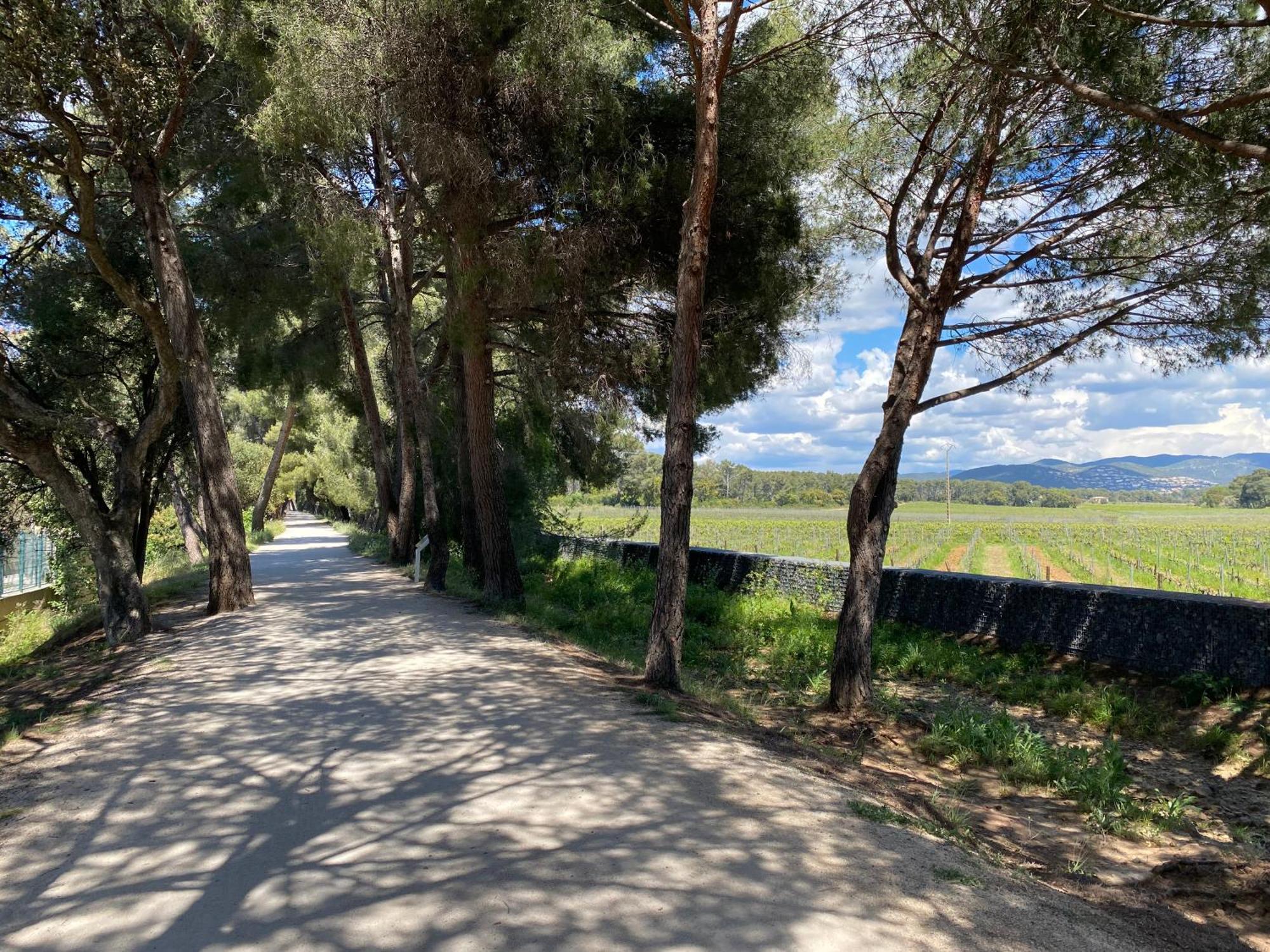Ferienwohnung Rez De Jardin T3 Recent Et Calme Au Nouvelles Terres A La Londe Les Maures Exterior foto