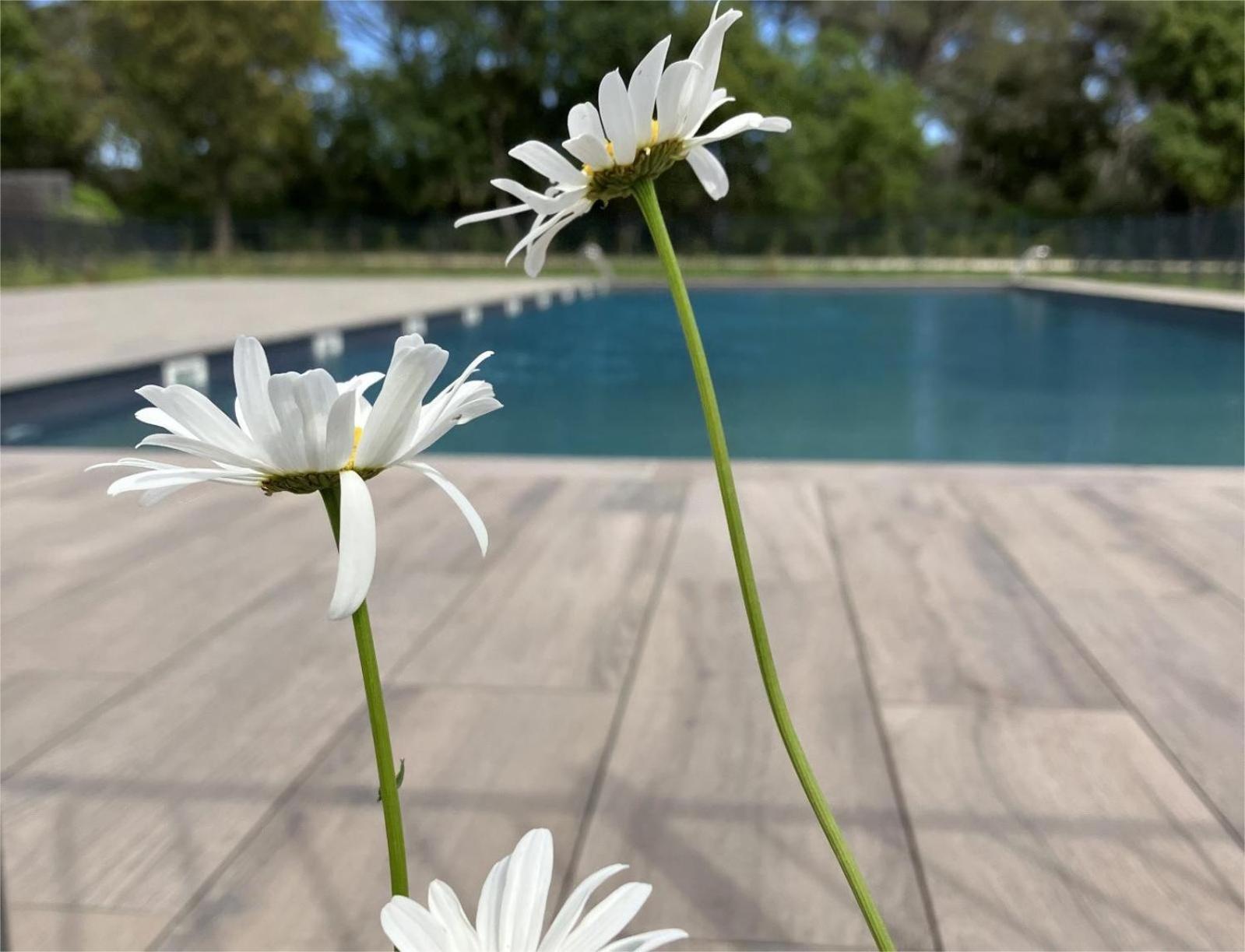 Ferienwohnung Rez De Jardin T3 Recent Et Calme Au Nouvelles Terres A La Londe Les Maures Exterior foto